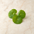 Niacinamid och centella