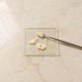Ceramid NP