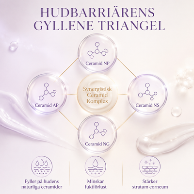 Stora Rutinkitet, Night Cream Skin Renewing